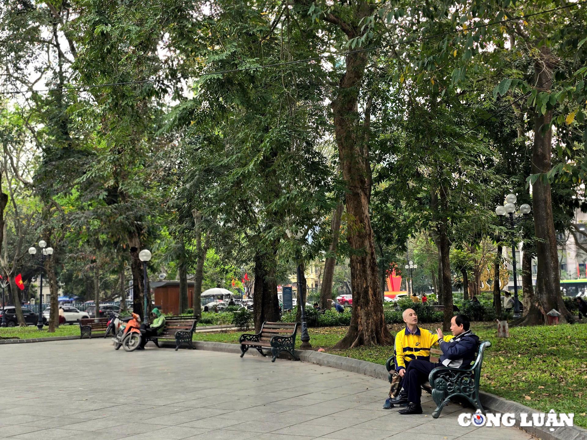 ha noi vuon hoa ly thai to se co 114 cay bong mat sau cai tao hinh 2