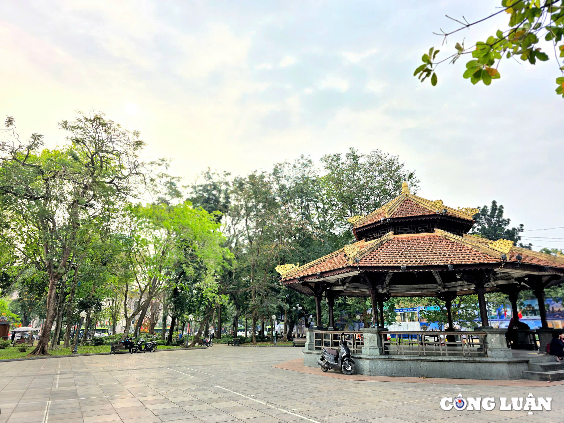 ha noi vuon hoa ly thai to se co 114 cay bong mat sau cai tao hinh 1
