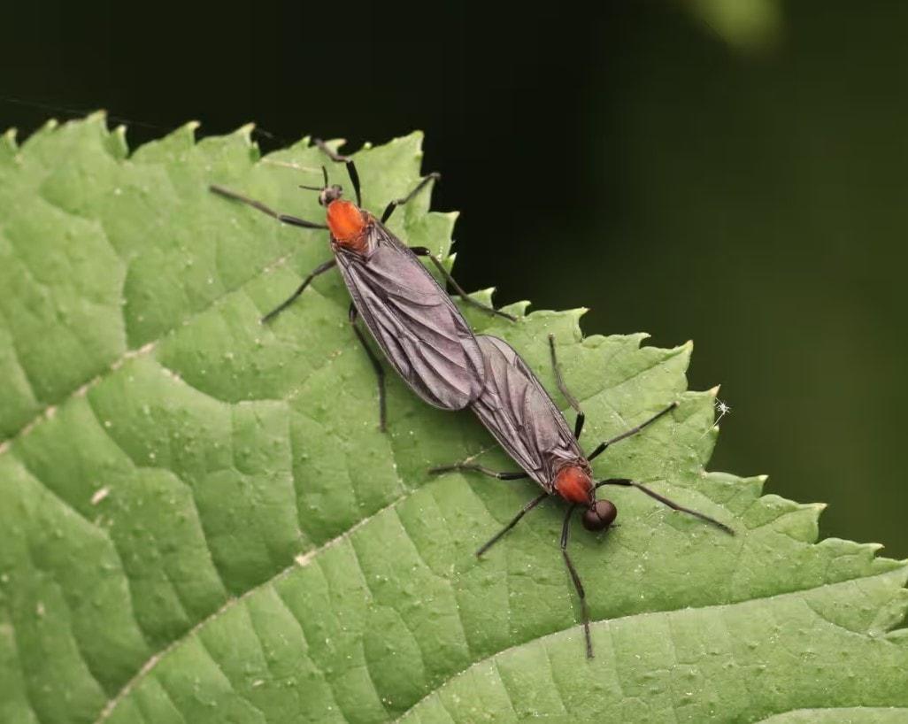 Screenshot 2025-06-30 211259