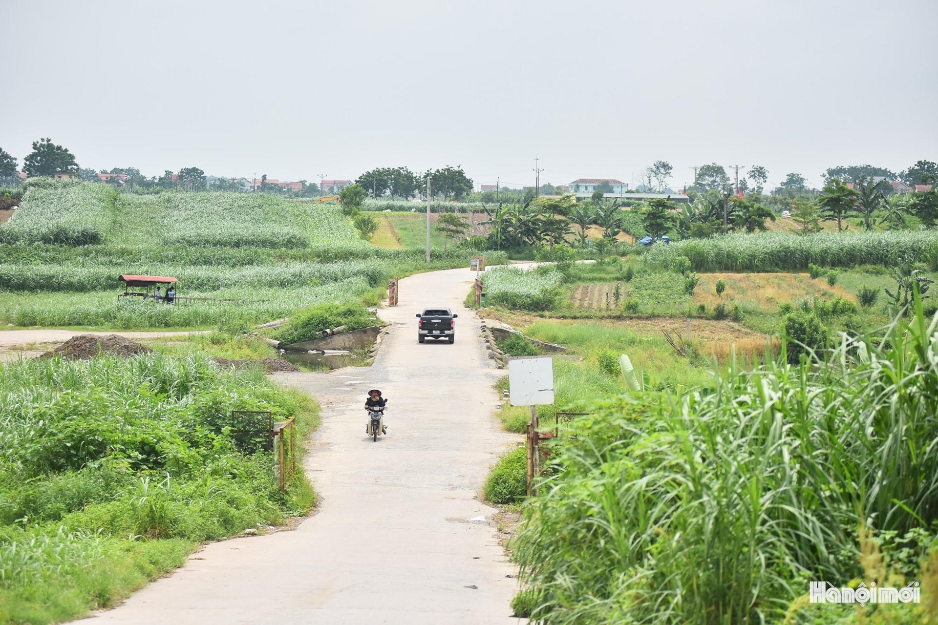 W_hnm-minhchau16.jpg