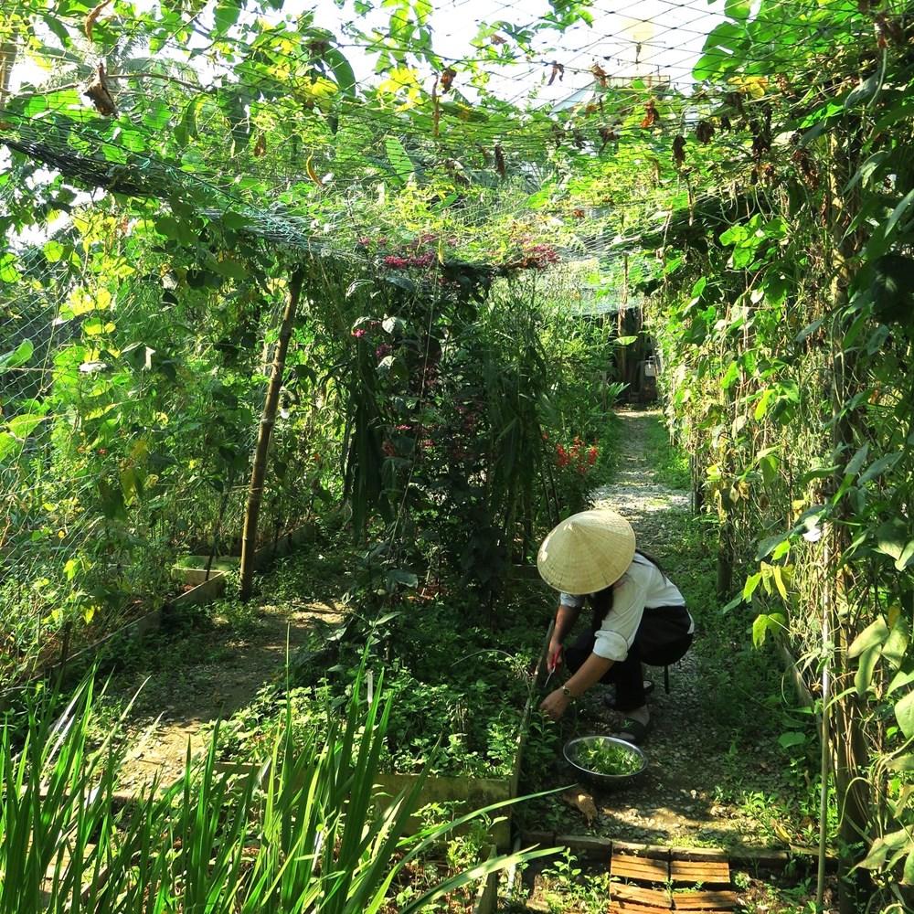 Du lịch Đà Nẵng tiếp cận xu thế “low carbon” - ảnh 1