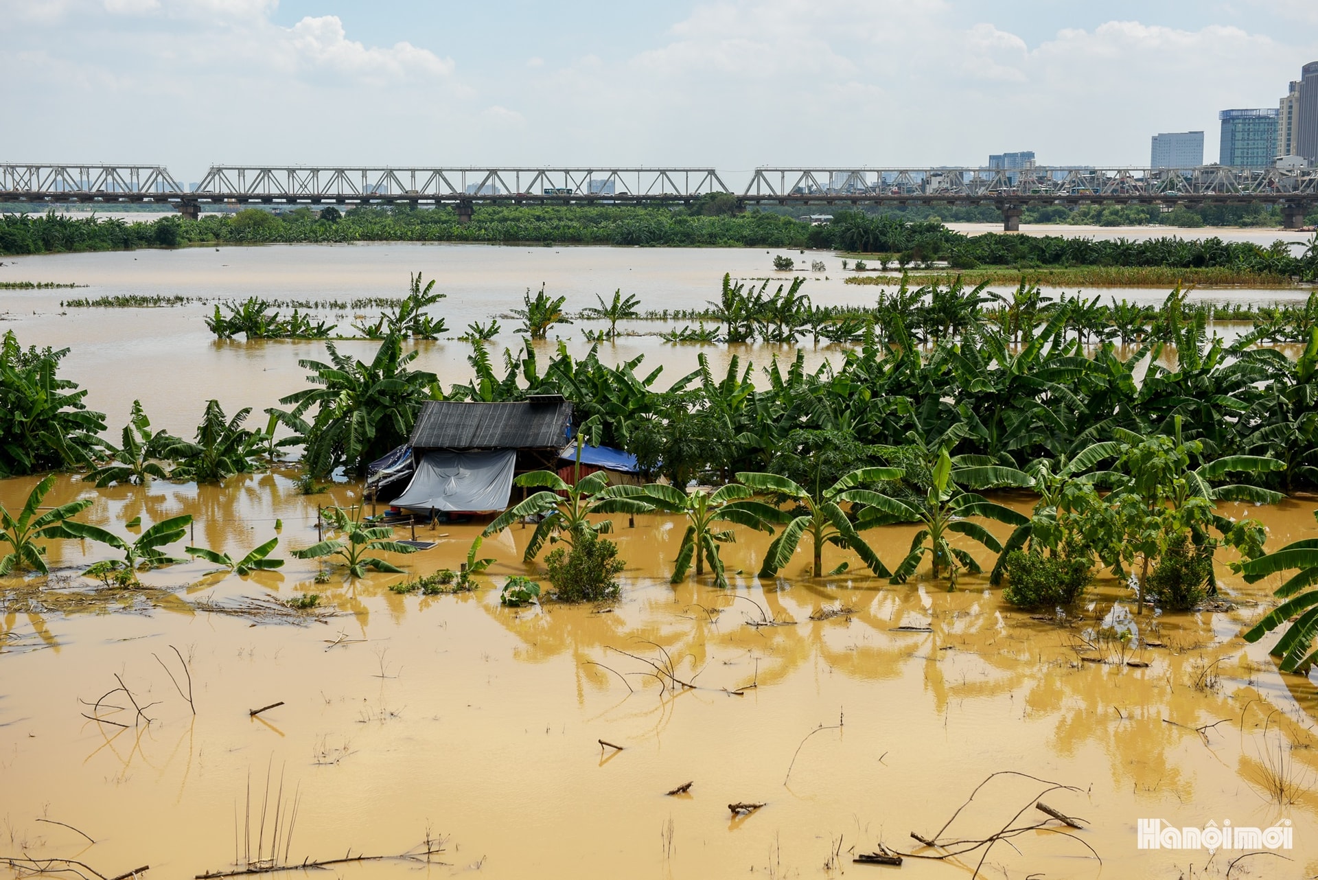 W_hnm-ngapnuoc-11.jpg