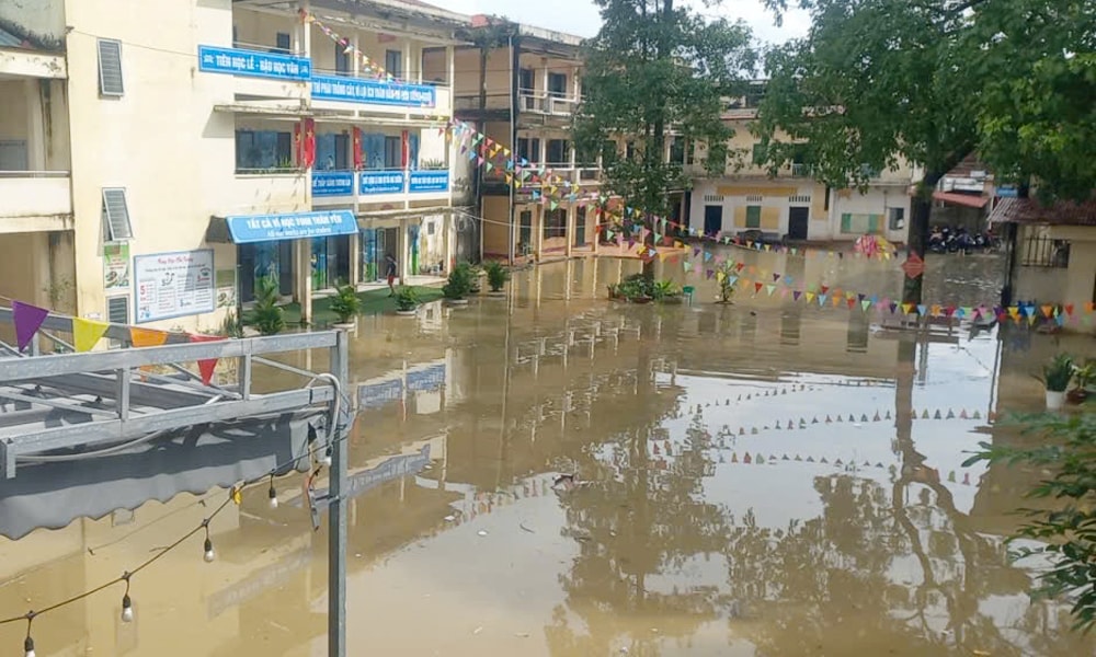 ngập ở bn