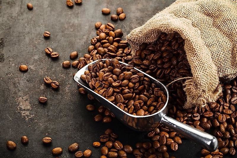 Giá cà phê hôm nay 24.10: Trong nước tăng vọt, lập đỉnh mới trên 118.000 đồng/kg - ảnh 1
