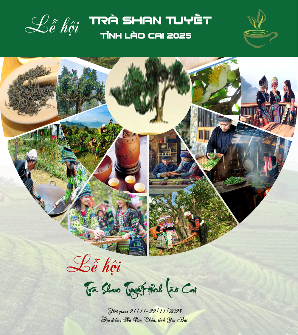 ảnh lễ hội trà Shan tuyết Lào Cai