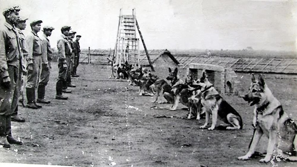 Người lính với đôi tai “ra đa” và trái tim dũng cảm - ảnh 1