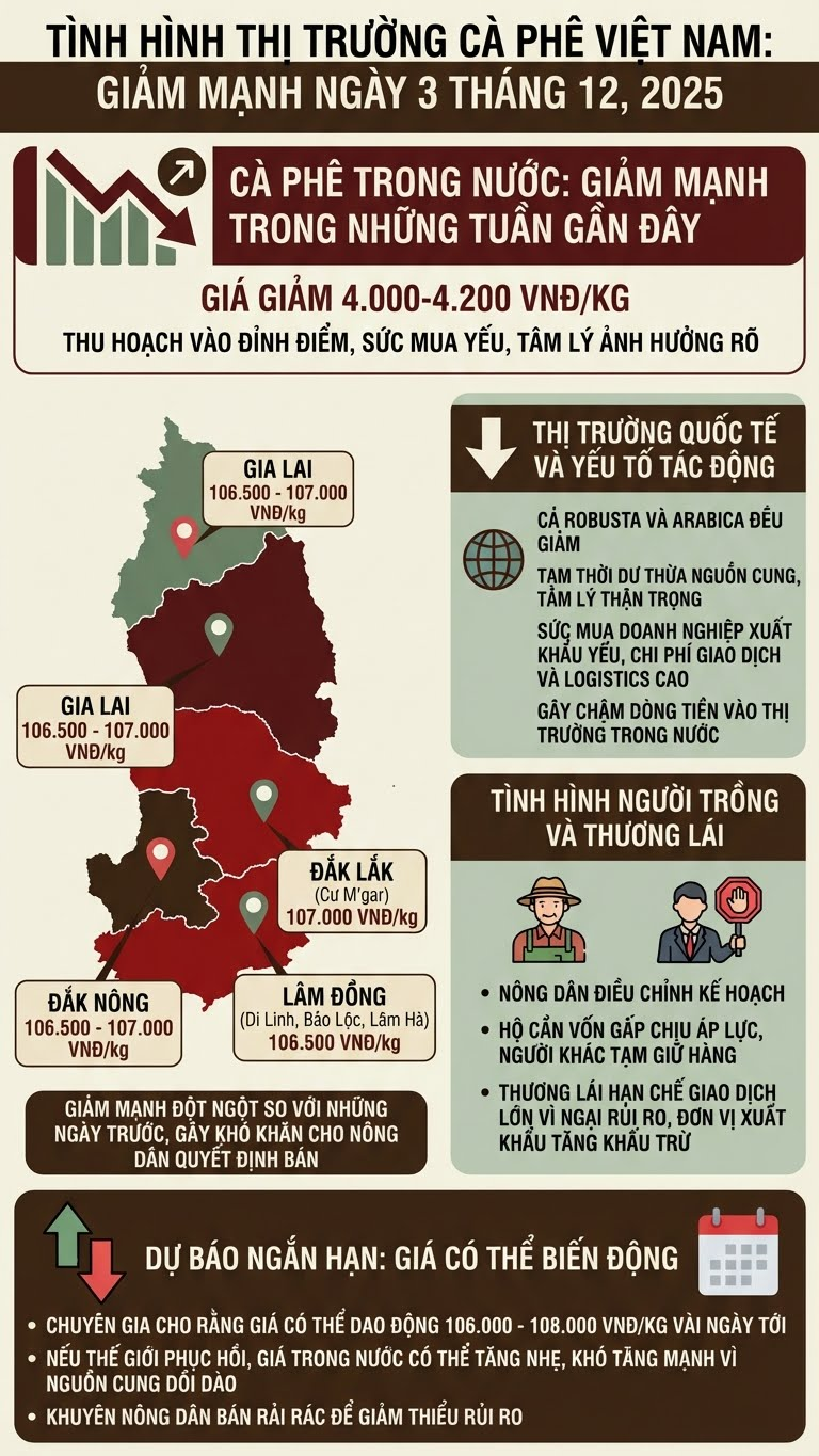 Giá cà phê hôm nay 3.12: giảm hơn 4.000 đồng/kg - ảnh 3