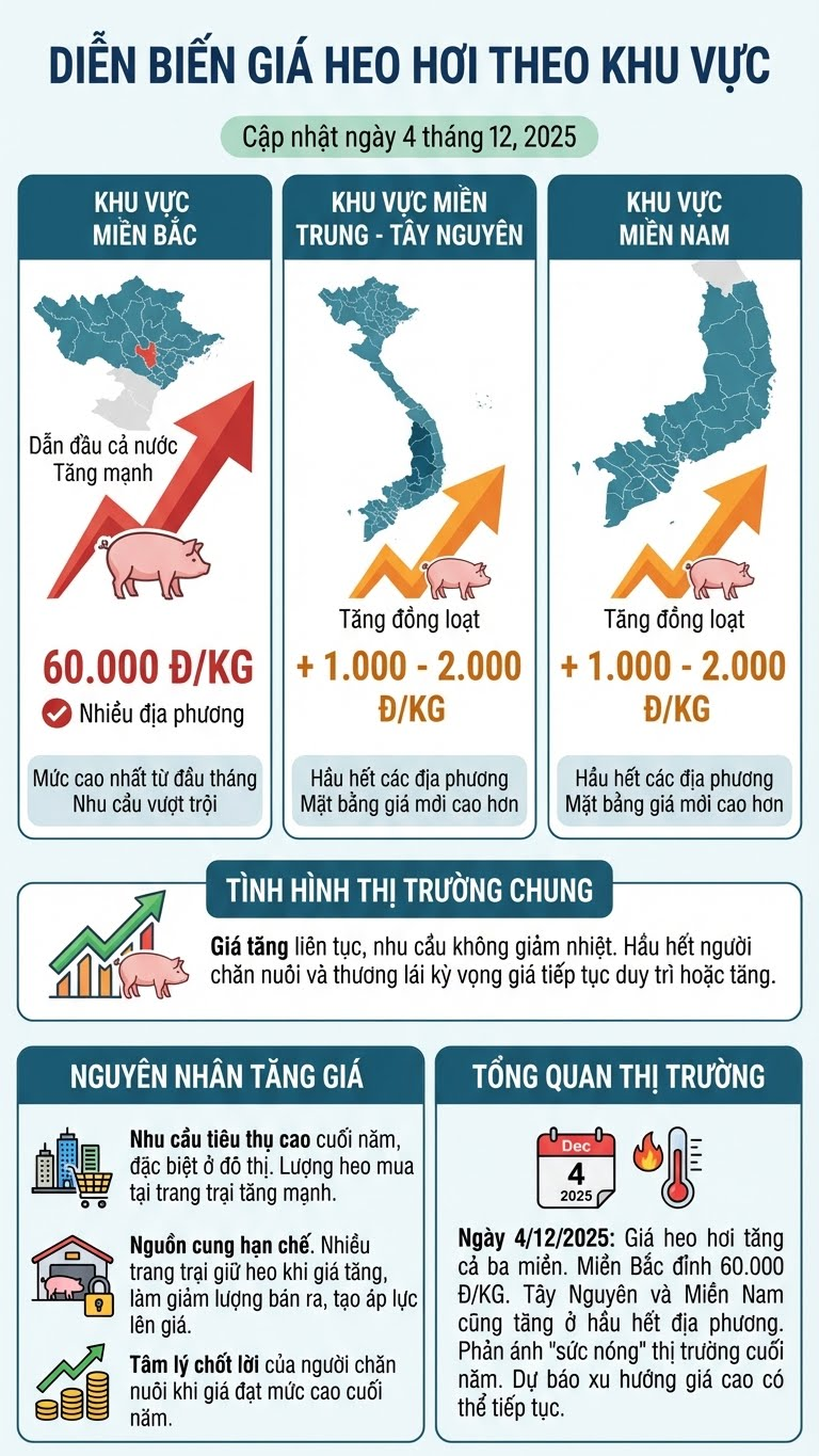 Giá heo hơi hôm nay 4.12: Miền Bắc chạm 60.000 đồng/kg - ảnh 3