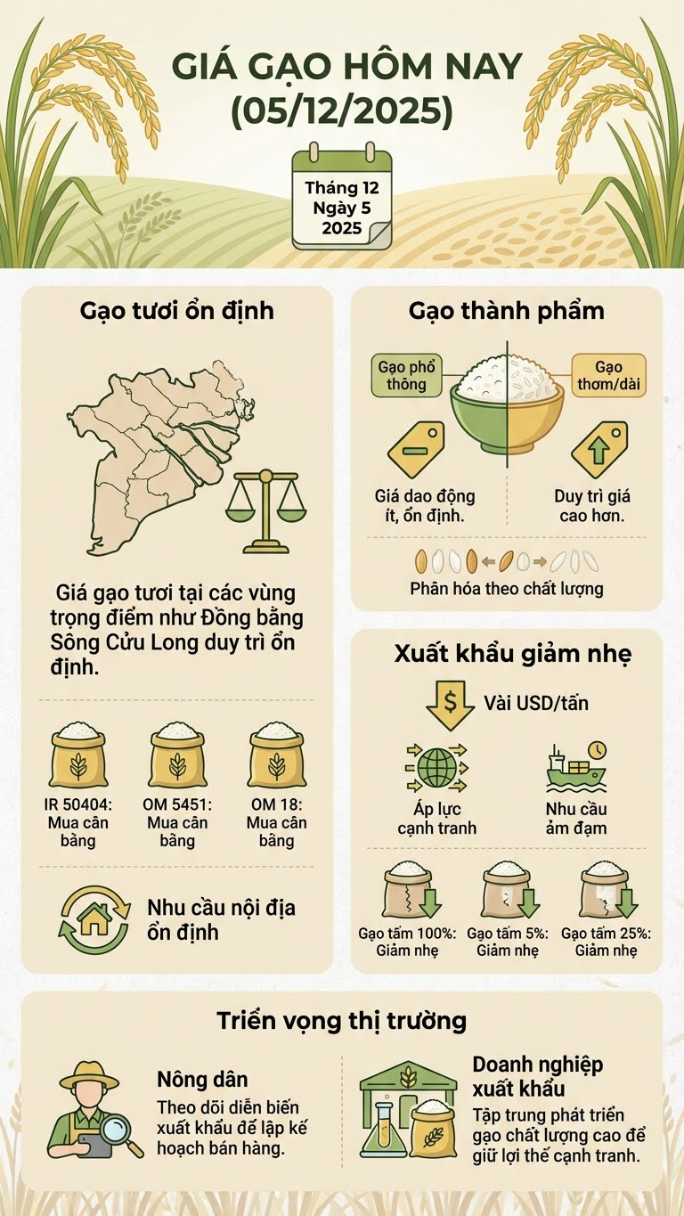 Giá lúa gạo hôm nay 5.12: Nội địa ổn định, xuất khẩu giảm nhẹ - ảnh 3