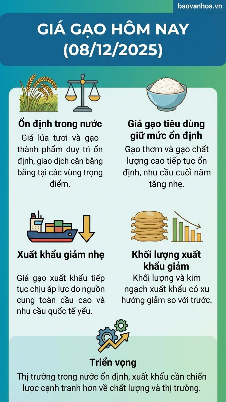 Giá lúa gạo hôm nay 8.12: Nội địa cân bằng, xuất khẩu giảm tốc - ảnh 2