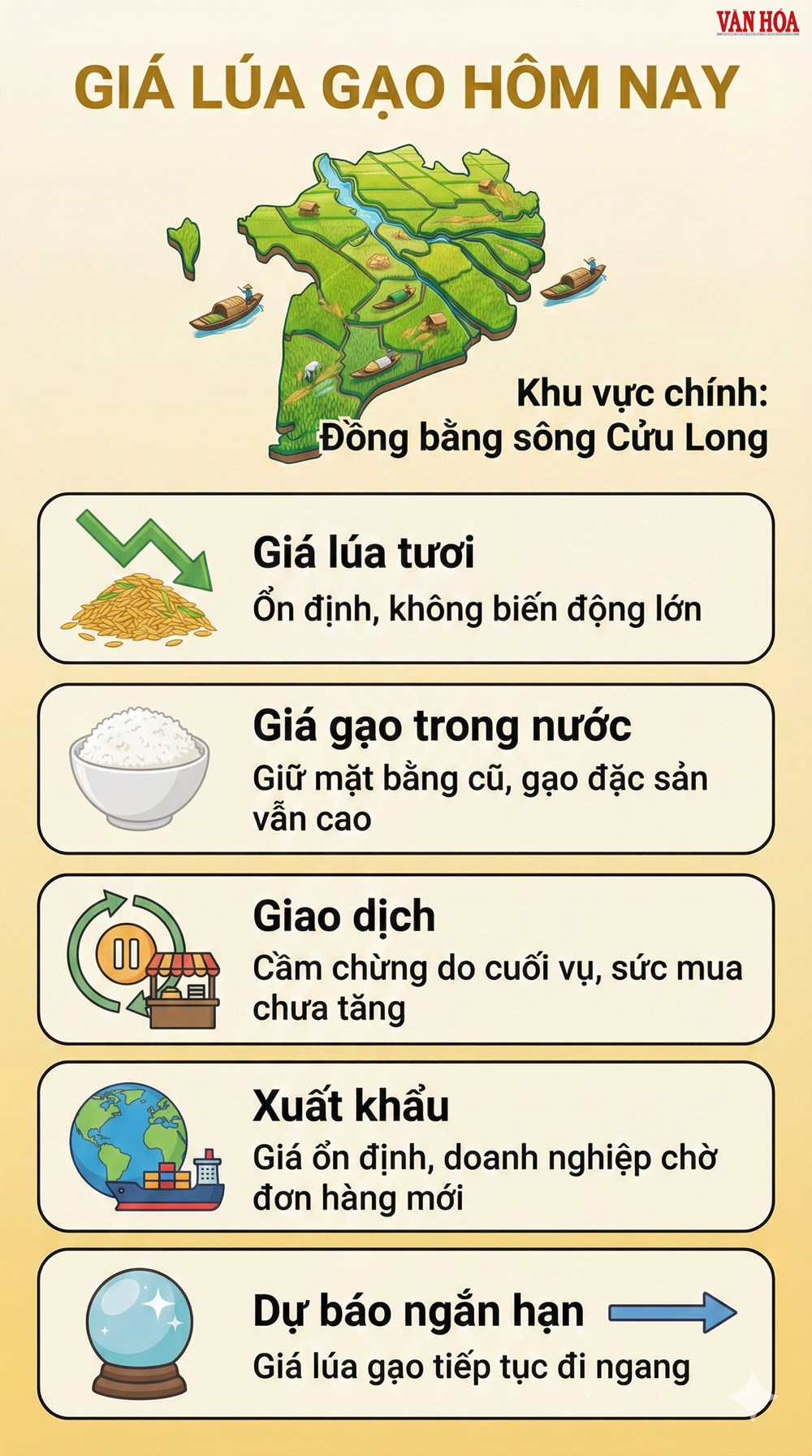 Giá lúa gạo hôm nay 24.12: Ổn định trên diện rộng - ảnh 2