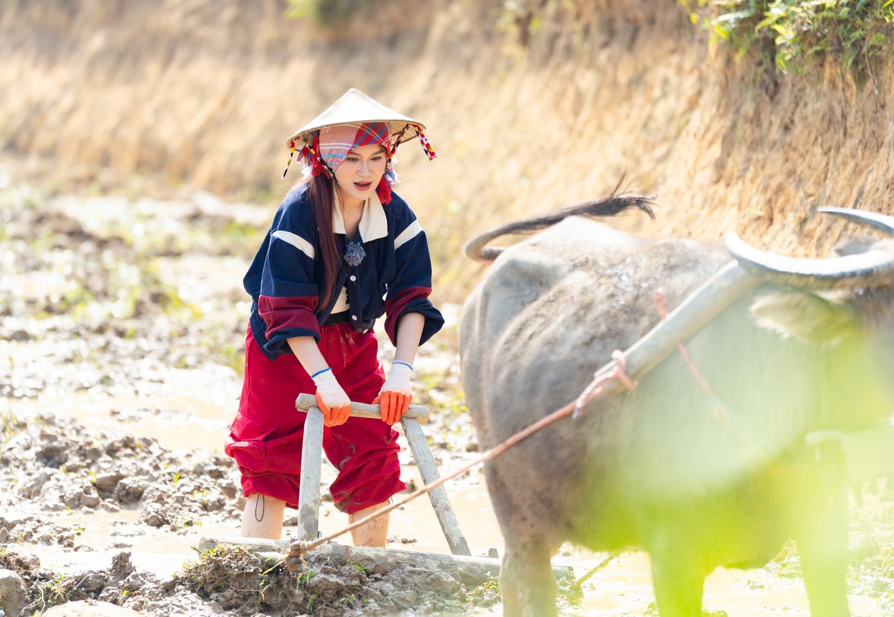 Ngọc Thanh Tâm tham gia trải nghiệm nông nghiệp