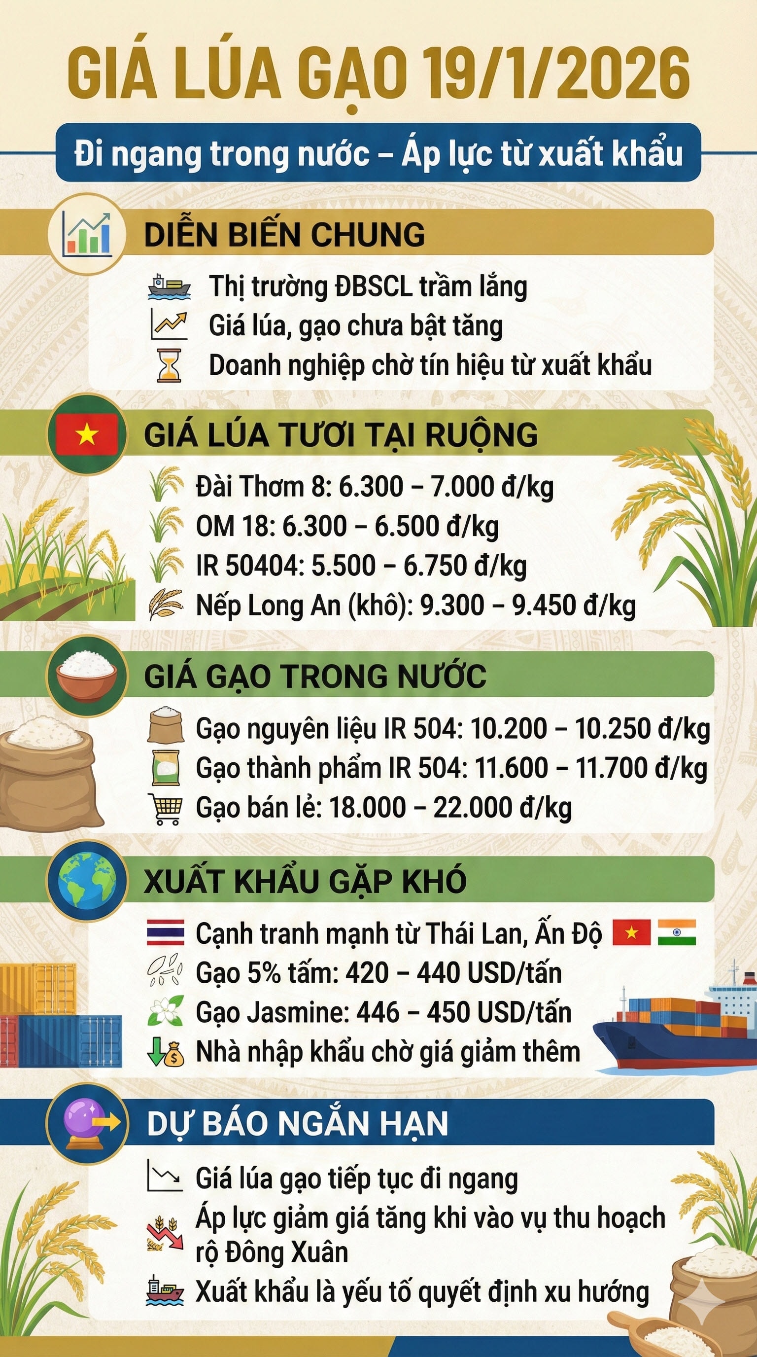 thi truong lua gao hom nay