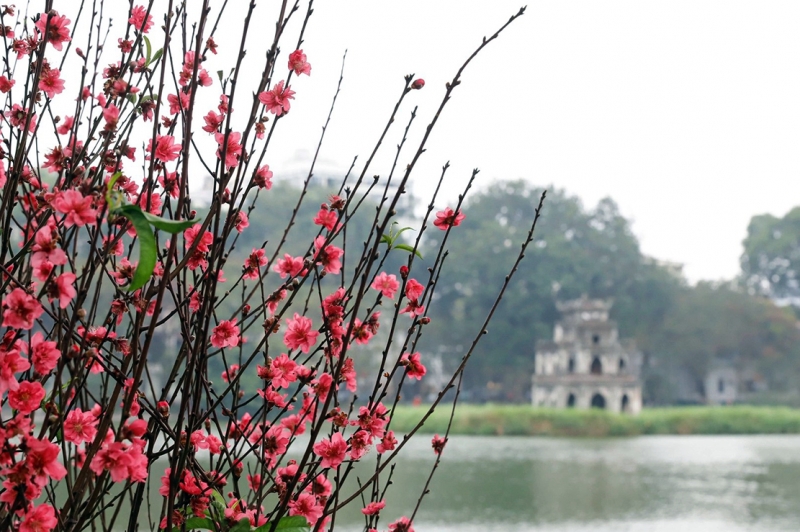 Thời tiết hôm nay (30-1): Trời ẩm, sương mù, miền Bắc sắp chuyển mưa rét