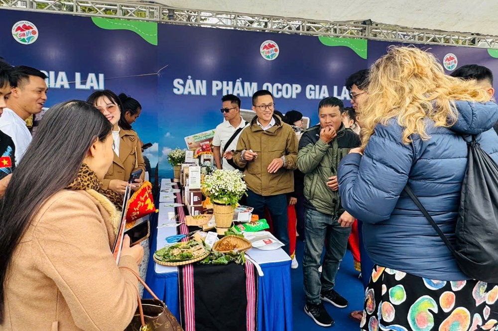 Gia Lai đẩy nhanh quảng bá Năm Du lịch quốc gia 2026 - ảnh 1