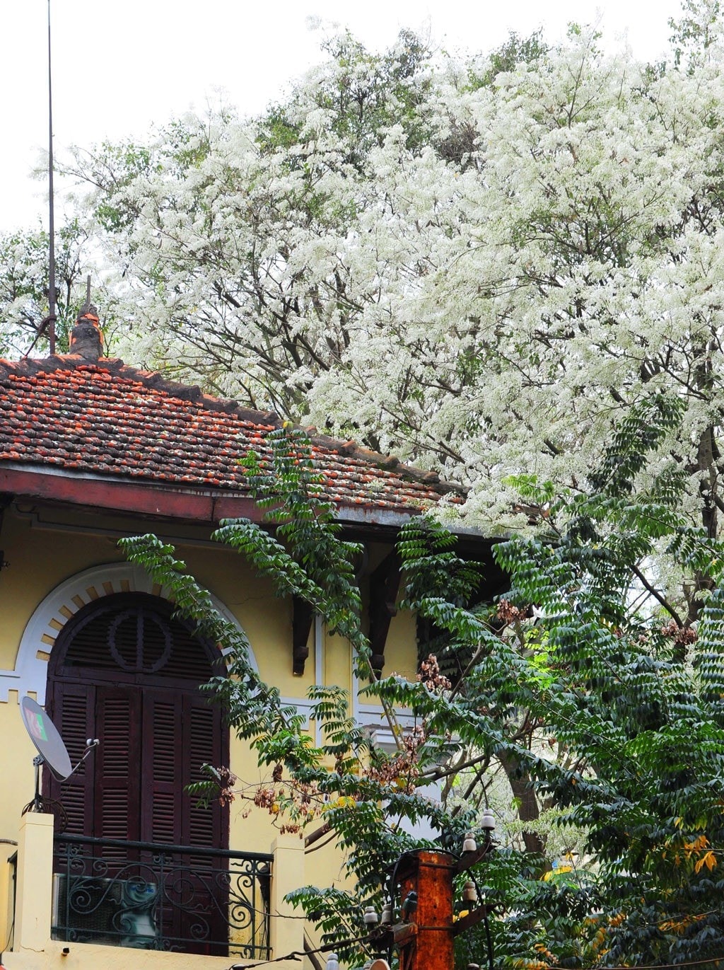 Điểm nhấn cho không gian đô thị (Ảnh: ST)