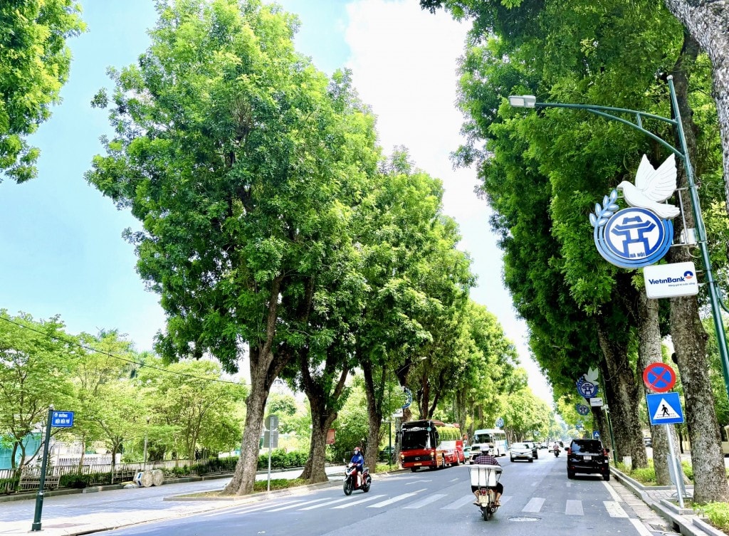Con đường xanh của Hà Nội (Ảnh: Minh họa)