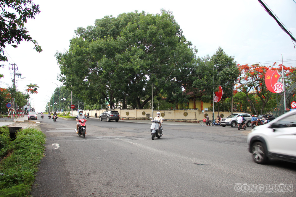 Ngã 3 đường Trường Chinh và Lê Hồng Phong, khu vực từng phát hiện hài cốt liệt sỹ vào năm 2008 clo_br_z7899145618229-1555762db2049bbf3a90ac4f9ef068b5.jpg