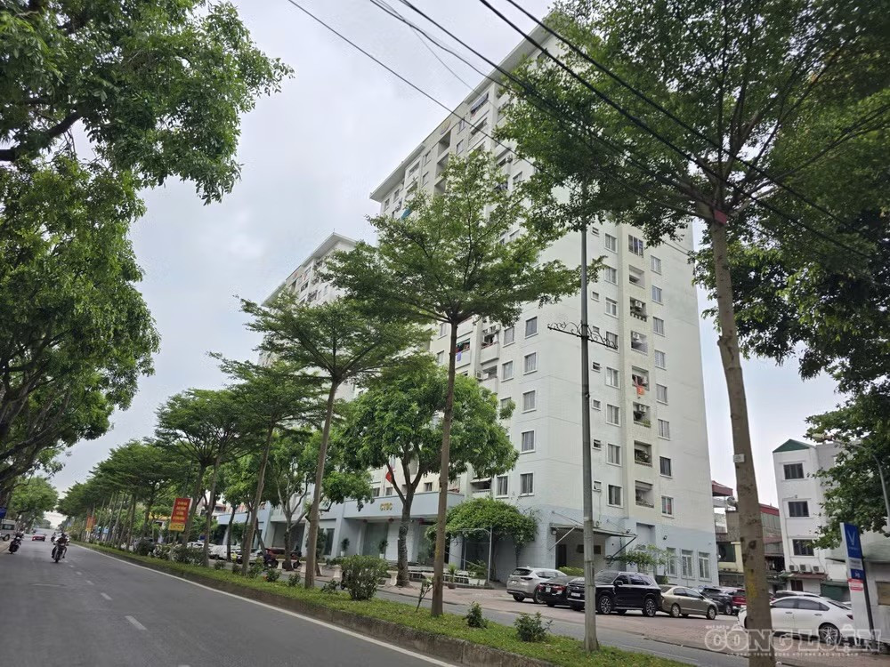 Hà Nội dự kiến miễn tiền sử dụng đất cho các dự án nhà ở cho thuê. Ảnh: Hà Đương 48c01f00b8ce399060df.jpg