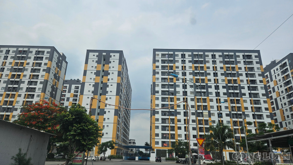Hải Phòng tăng trần thu nhập với cá nhân được mua nhà ở xã hội lên 29 triệu đồng mỗi tháng, cao hơn 4 triệu so với mức chung. clo_br_1000235546.jpg