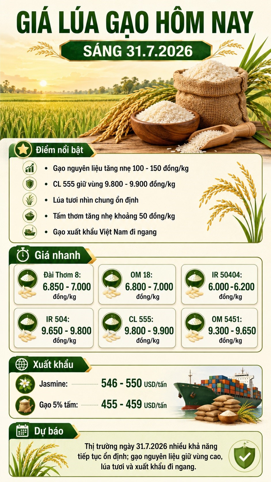 Giá lúa gạo hôm nay 31.7.2026: Gạo nguyên liệu tăng nhẹ - ảnh 3