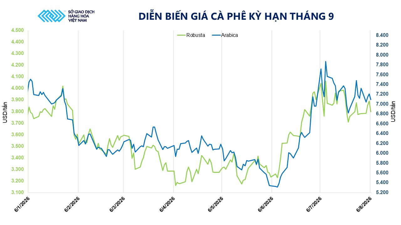anh-3_-dien-bien-gia-ca-phe-ky-han-thang-9-1-.jpg