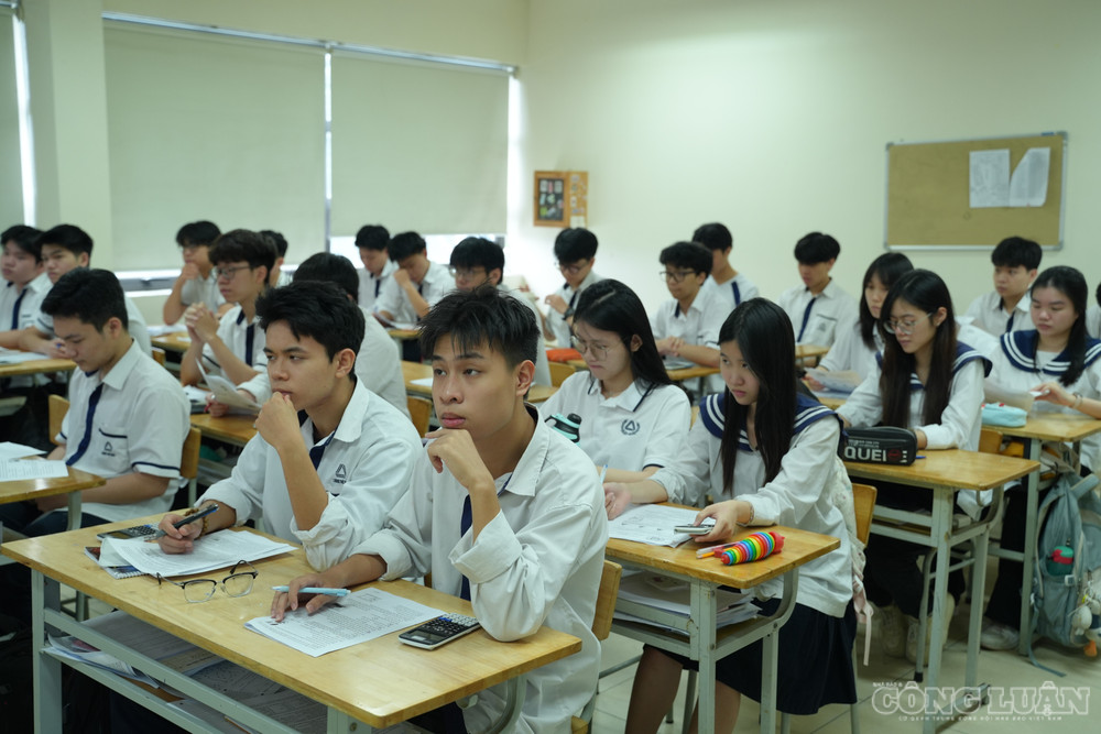 clo_br_dsc07925.jpg