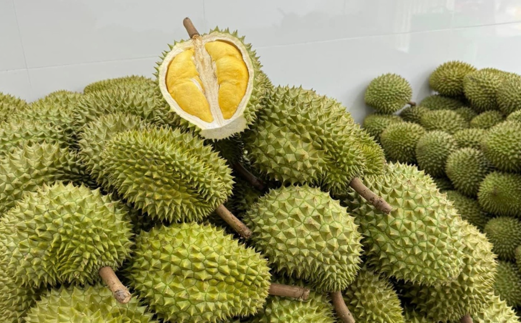 Giá sầu riêng hôm nay 8/10: Thị trường ổn định